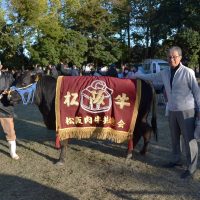 松阪肉牛共進会